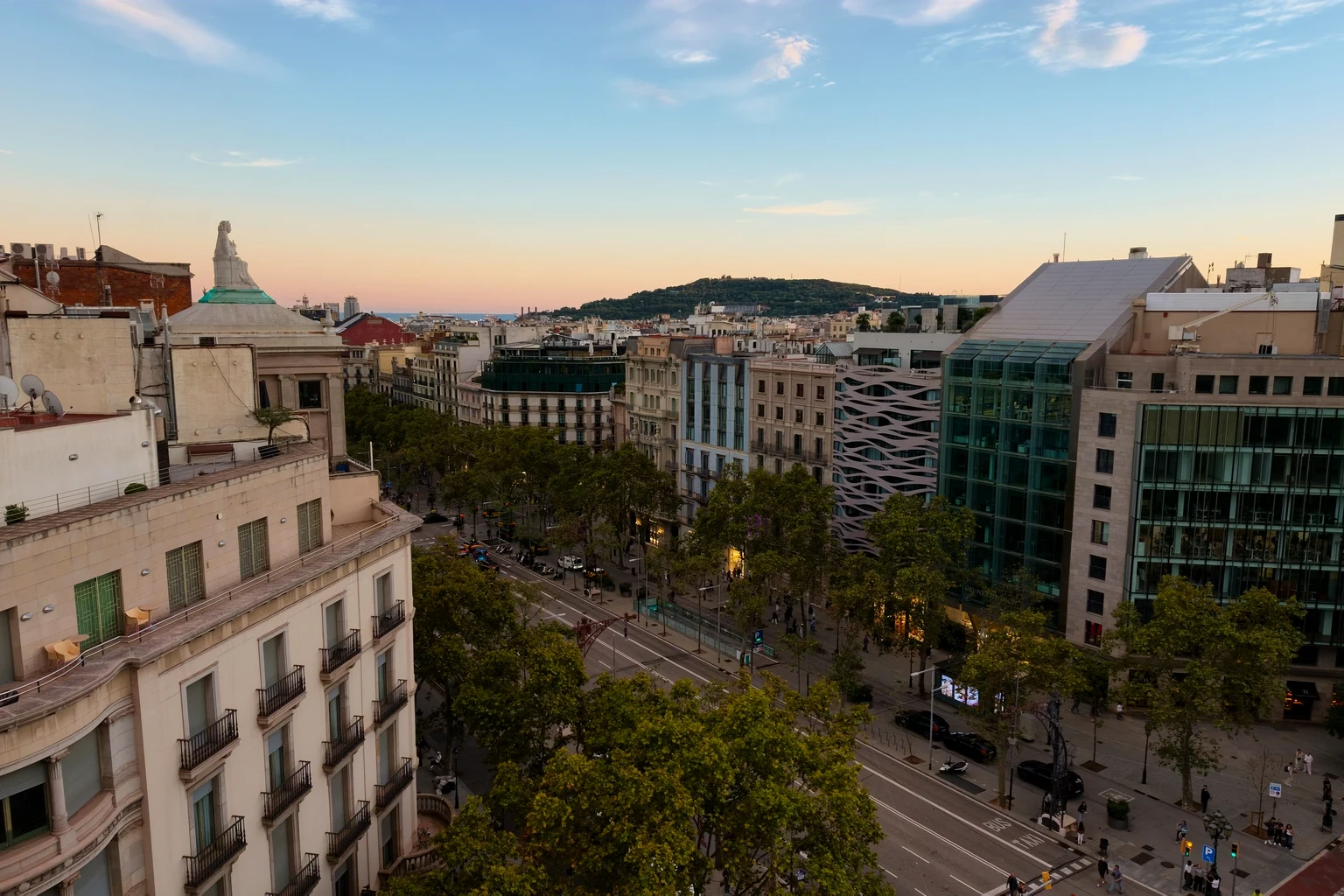 Passeig de Gràcia from a rooftop at dusk, plane trees and modernista lamps below, Montjuïc beyond