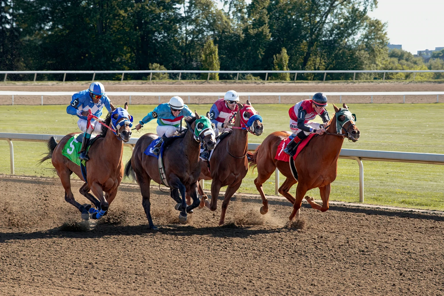Four thoroughbreds and their jockeys rounding a turn on a dirt track in the sun
