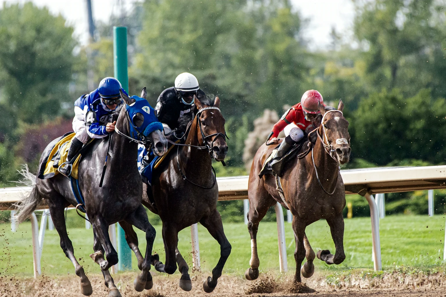 Three racehorses and their jockeys at full stretch, neck and neck along the rail