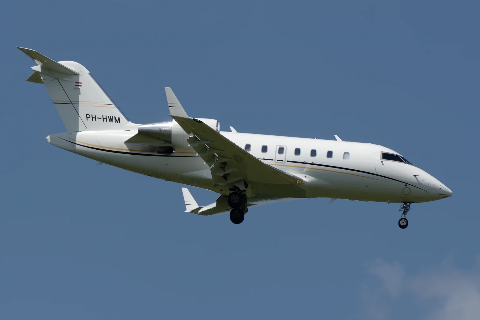 A white Challenger 605 with a fine gold cheatline landing against a clear blue sky, side-on.