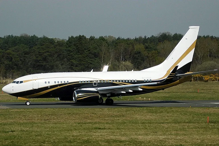 A private Boeing Business Jet in white, black and gold taxiing side-on at Farnborough, a dark storm sky and pine woods behind.
