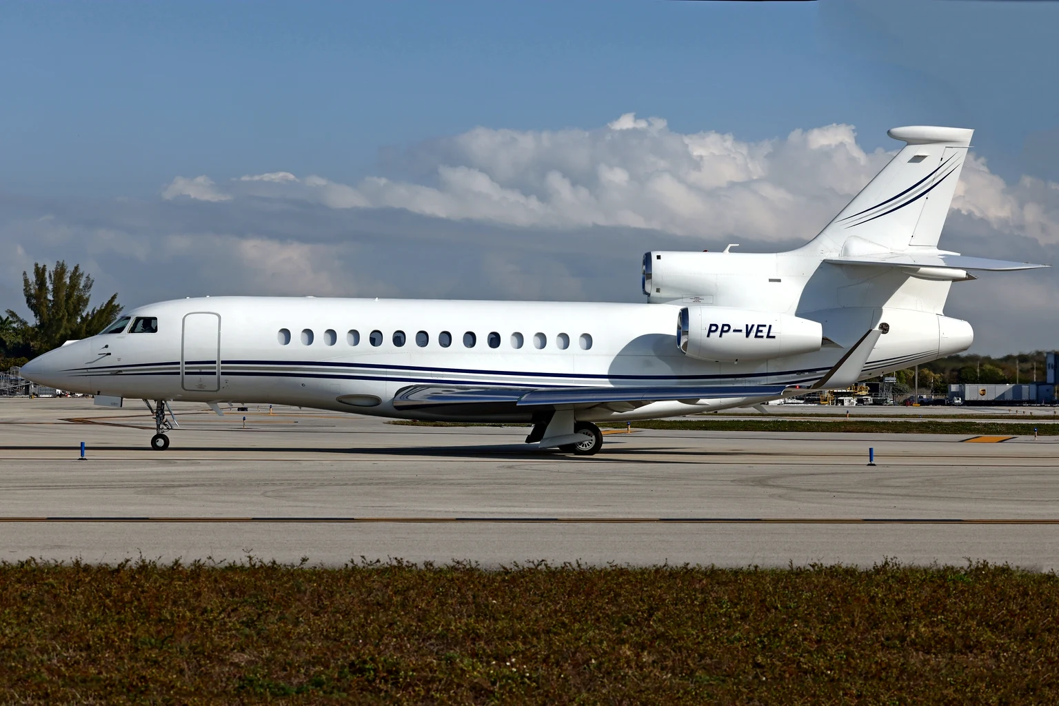 A white Dassault Falcon 7X taxiing past a palm tree under a blue Florida sky