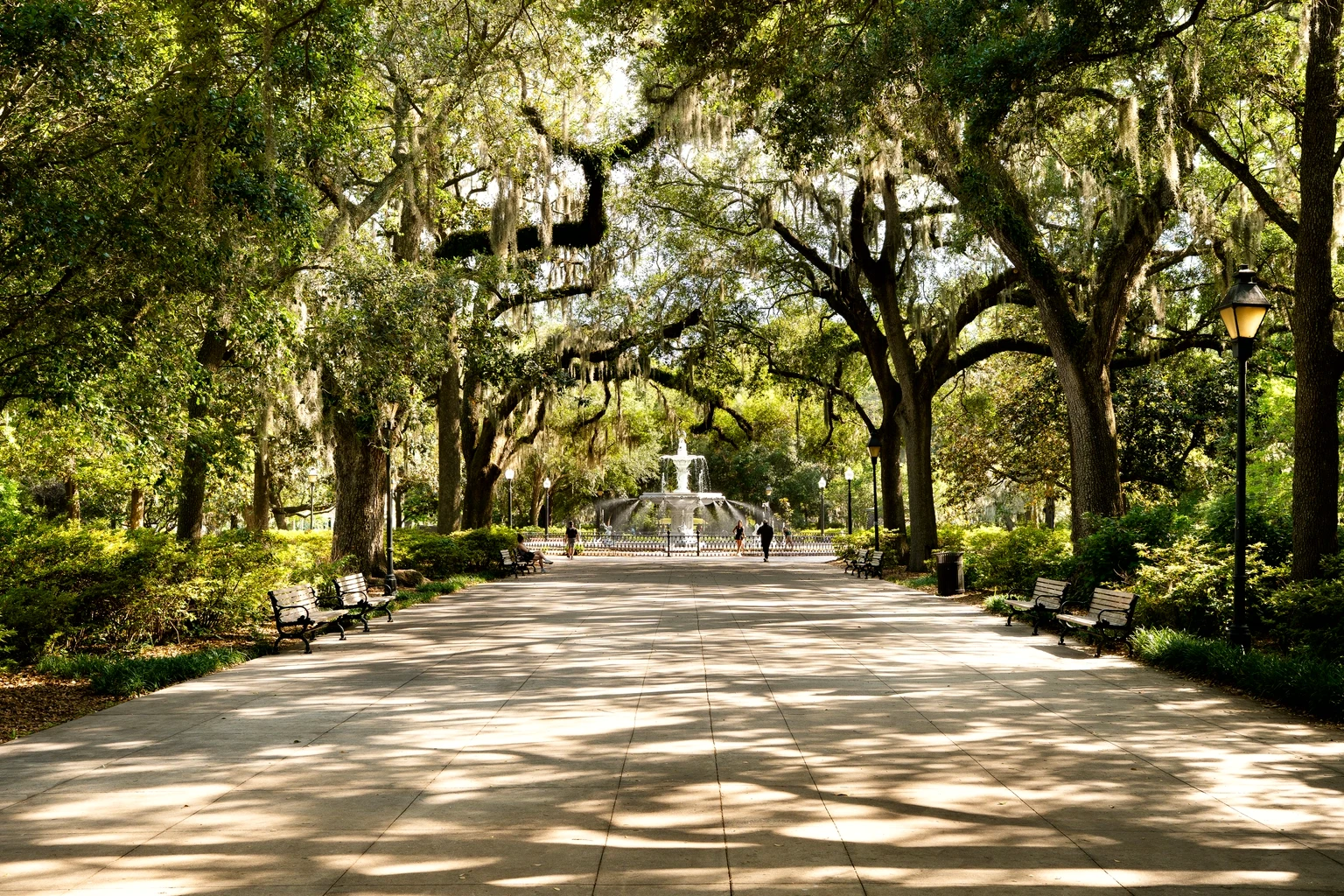The walk through Forsyth Park in Savannah to the fountain, under live oaks hung with Spanish moss